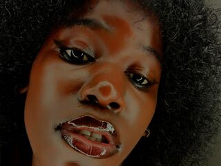 chat live webcam HollyBeatrix